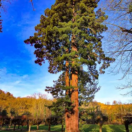 Queen's Escape Отель типа 