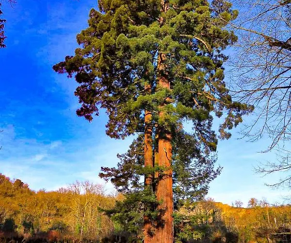 Queen's Escape Oda ve Kahvaltı