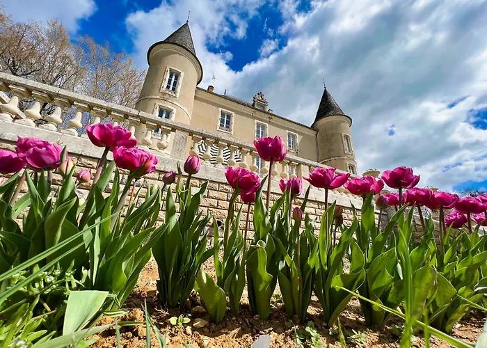 Oda ve Kahvaltı Queen's Escape